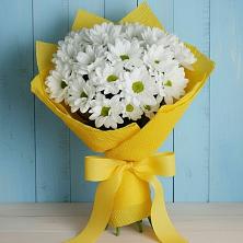 Букет цветов из:  Хризантемы в Хиславичи
