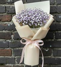 Букет цветов из:  Гипсофила в Хиславичи