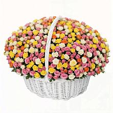 Премиум букет из: Розы в Хиславичи