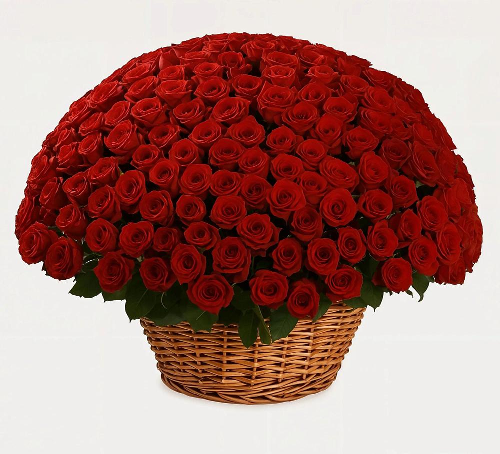 Премиум букет из: Розы в Хиславичи