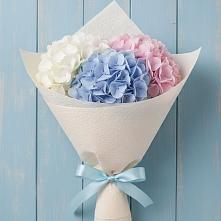 Букет цветов из:  Гортензия в Хиславичи