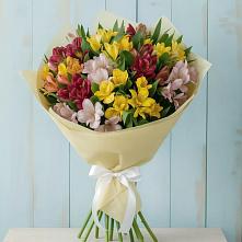 Букет цветов из:  Альстромерии в Хиславичи