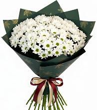 Букет цветов из:  Хризантемы в Хиславичи