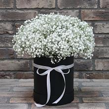 Цветочная композиция из Гипсофила в шляпной коробке в Хиславичи