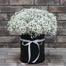 Цветочная композиция из Гипсофила в шляпной коробке в Хиславичи