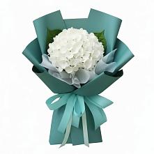 Букет цветов из:  Гортензия в Хиславичи